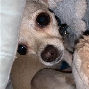 Meet your Posher, Derick